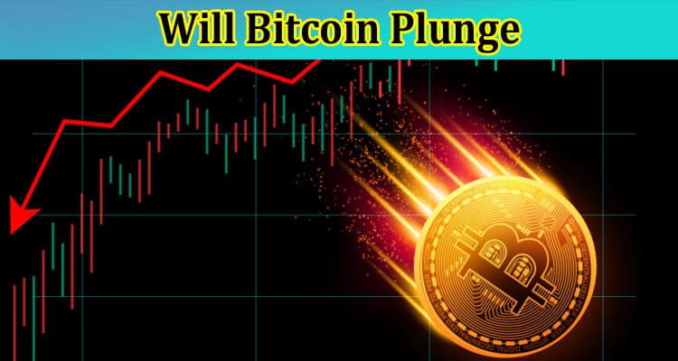 Complete Information About Will Bitcoin Plunge - Key Indicators Paint the Picture