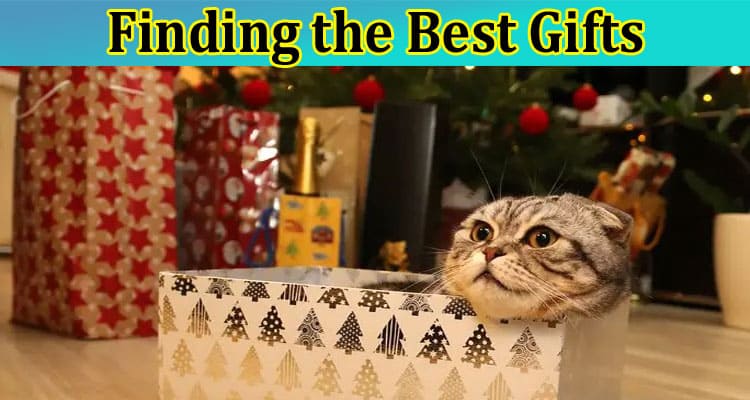 Finding the Best Gifts Special Presents for Cat Lovers