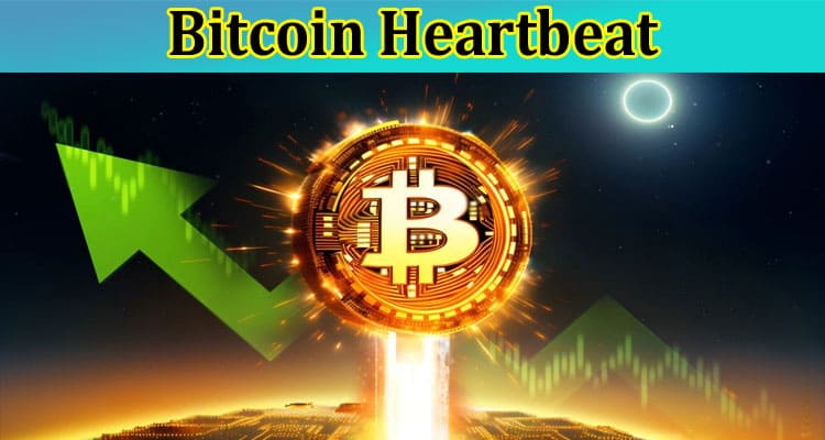 How to Unraveling the Bitcoin Heartbeat