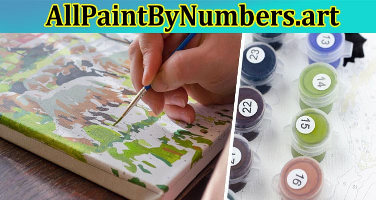 My Awesome Custom Paint by Numbers Kit Shopping Experience with AllPaintByNumbers.art