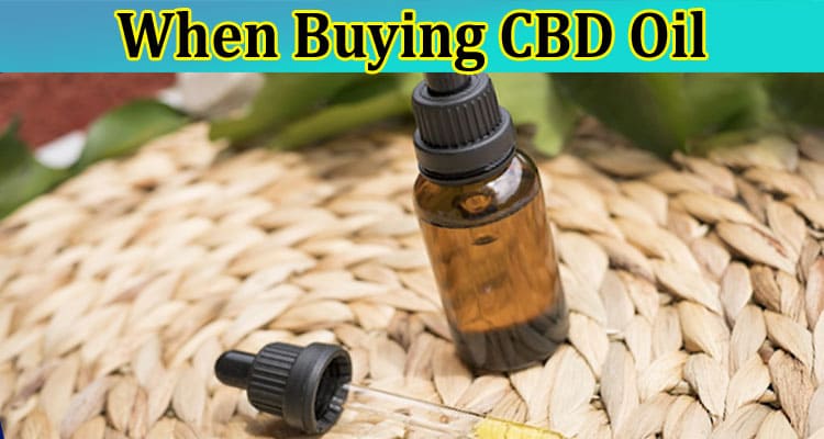 Top 6 Things You Should Look for When Buying CBD Oil