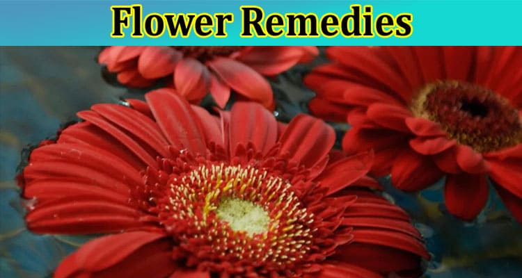 What Are Flower Remedies Used For