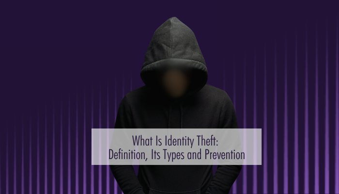 What Is Identity Theft Definition, Its Types and Prevention