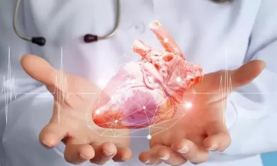 Digital Twin Heart